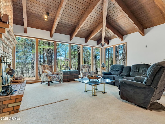 951 N Sky View St, Flagstaff, AZ 86004 - living room featuring carpet, wood ceiling, and plenty of natural light