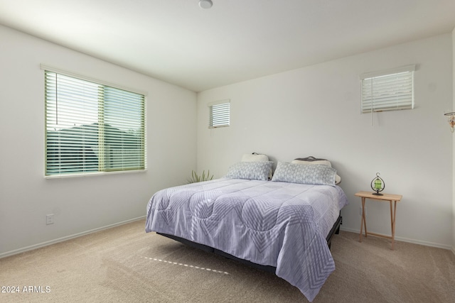 carpeted bedroom with multiple windows