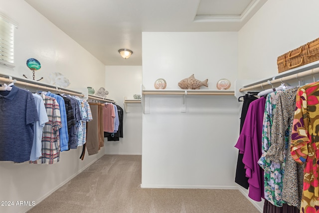 walk in closet featuring light colored carpet