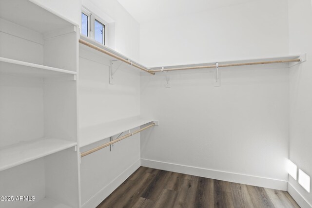 walk in closet with dark hardwood / wood-style flooring