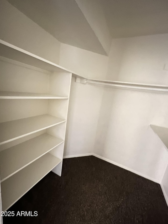 4850 E Desert Cove Ave Unit 241, Scottsdale, AZ 85254 - spacious closet with carpet