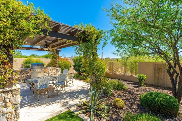 view of patio / terrace featuring a grill, area for grilling, a pergola, and ceiling fan