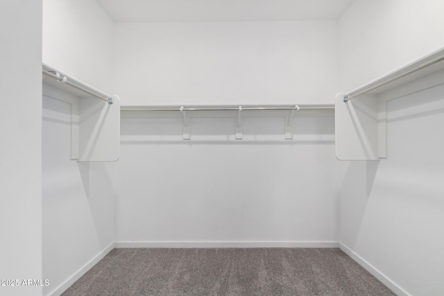 22507 E Quintero Rd, Queen Creek, AZ 85142 - spacious closet with carpet floors