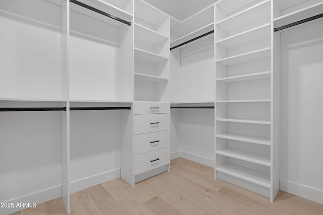 19622 W Pasadena Ave, Litchfield Park, AZ 85340 - spacious closet with light wood-style floors