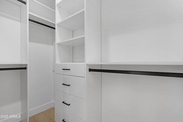 19622 W Pasadena Ave, Litchfield Park, AZ 85340 - walk in closet featuring light wood-type flooring