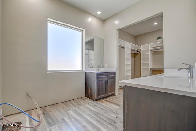 bathroom featuring hardwood / wood-style floors and vanity