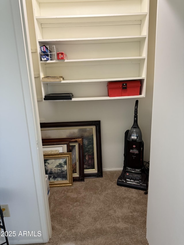 13822 N Silverbell Dr Unit 15C, Sun City, AZ 85351 - detailed view of carpet
