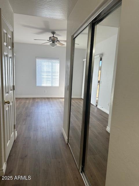 corridor with dark hardwood / wood-style floors