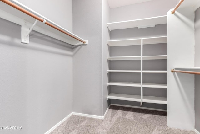 9142 W Pontiac Dr, Peoria, AZ 85382 - spacious closet with carpet flooring