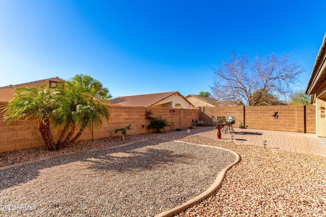 view of yard featuring a patio area