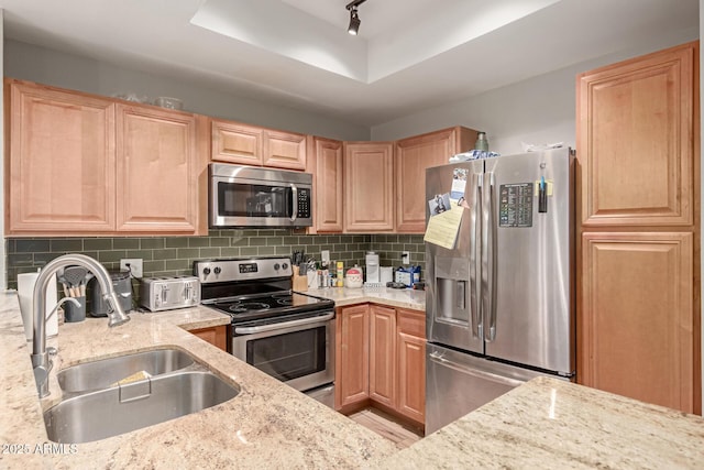 kitchen with backsplash, sink, a tray ceiling, and stainless steel appliances