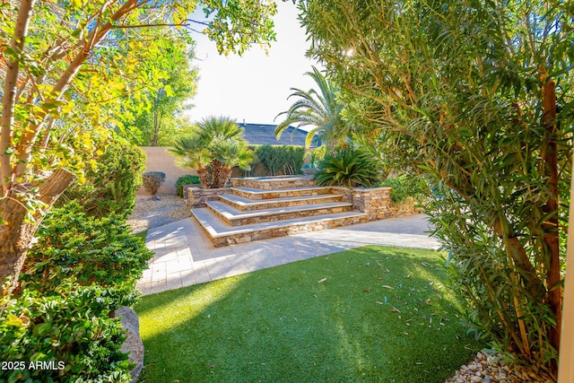 view of yard featuring a patio area