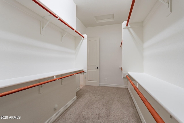 walk in closet with light carpet