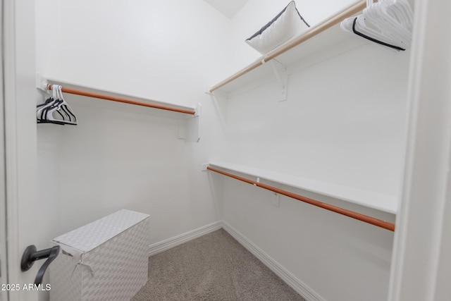 spacious closet featuring carpet floors