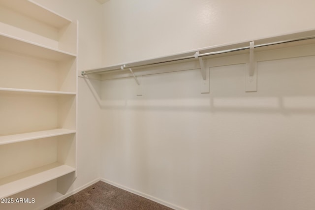 walk in closet featuring dark colored carpet