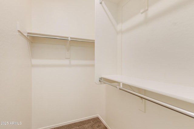 walk in closet with carpet