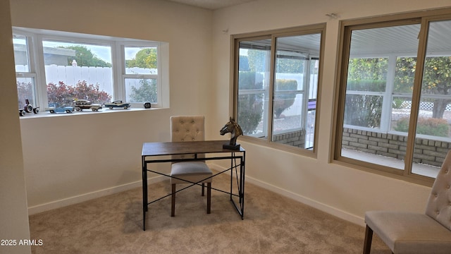 carpeted home office with a healthy amount of sunlight