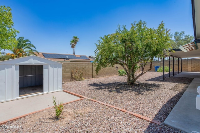 view of yard featuring a patio and a shed