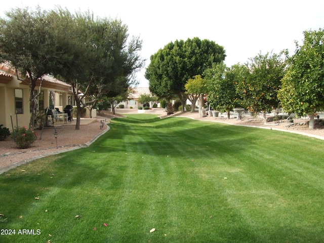 view of property's community featuring a lawn