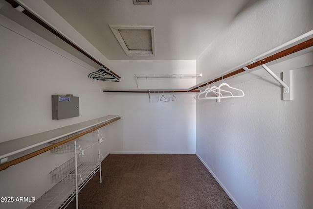 4306 E Raven Rd, Phoenix, AZ 85044 - spacious closet featuring carpet and attic access