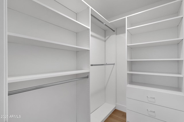 spacious closet featuring light wood finished floors