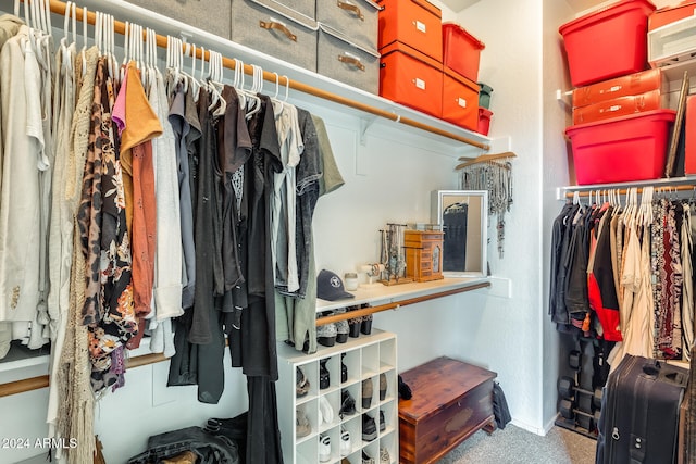 spacious closet with carpet