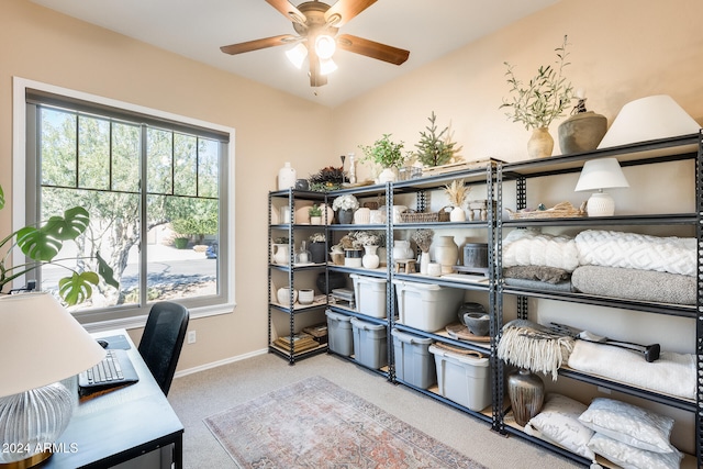 home office with ceiling fan and carpet flooring