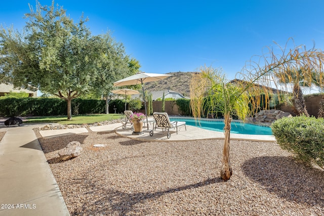 view of pool featuring a patio