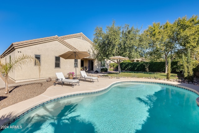 view of pool featuring a patio area