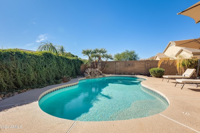 view of pool featuring a patio