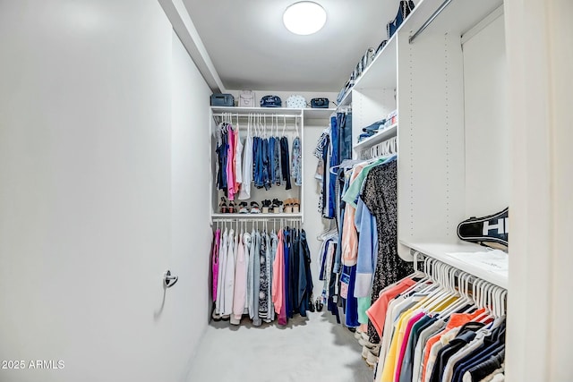 view of spacious closet