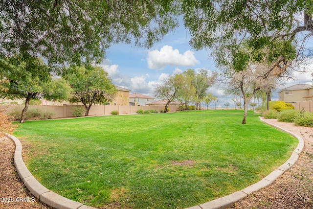 view of yard featuring a fenced backyard