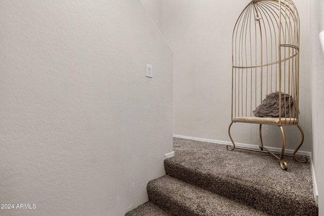 staircase with carpet flooring