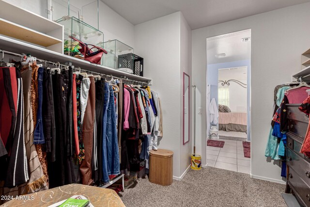 walk in closet with light colored carpet