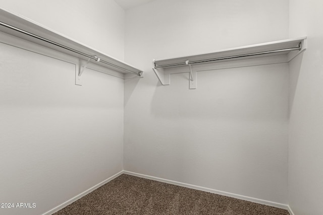 walk in closet with carpet flooring