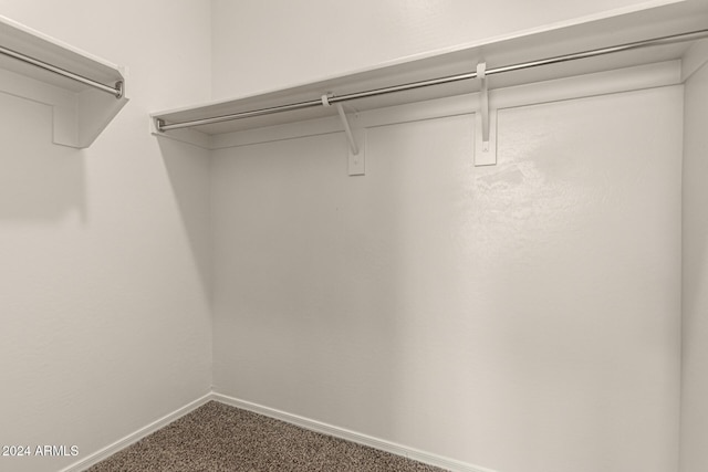 walk in closet featuring carpet flooring