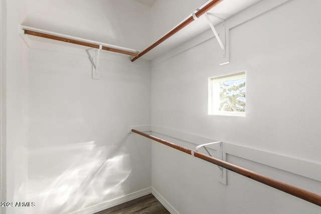 spacious closet featuring dark hardwood / wood-style floors