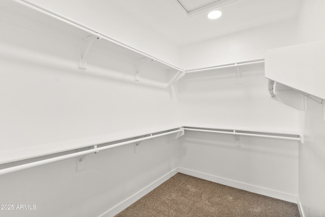 81 E Smoke Tree Rd, Gilbert, AZ 85296 - spacious closet featuring dark carpet
