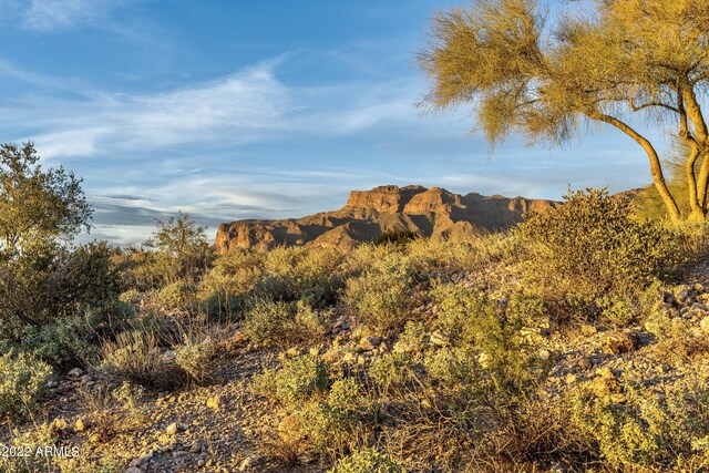 8989 E Quartz Mountain Dr Unit 63, Gold Canyon, AZ 85118
