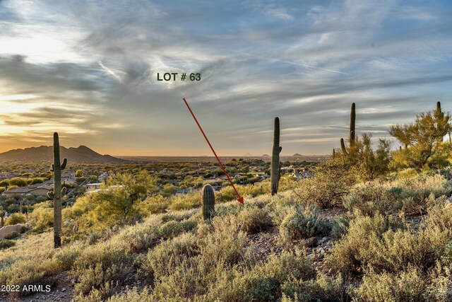 8989 E Quartz Mountain Dr Unit 63, Gold Canyon, AZ 85118