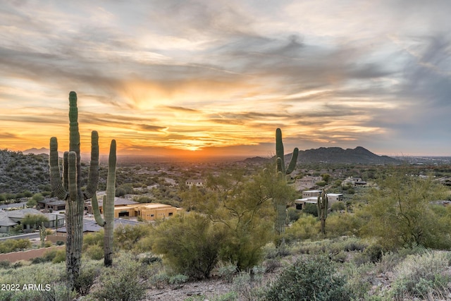 8989 E Quartz Mountain Dr Unit 63, Gold Canyon, AZ 85118