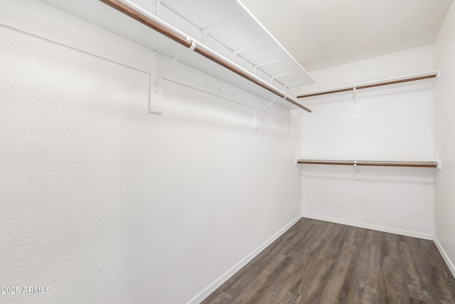 spacious closet featuring dark hardwood / wood-style flooring