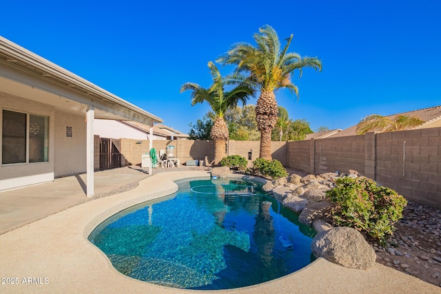 view of pool with a patio area