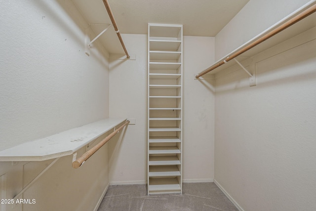 8660 E Nido Ave, Mesa, AZ 85209 - walk in closet featuring carpet floors