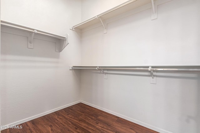 walk in closet with dark wood-style floors