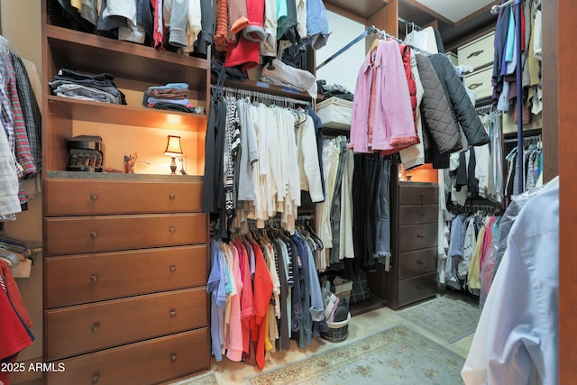 view of spacious closet