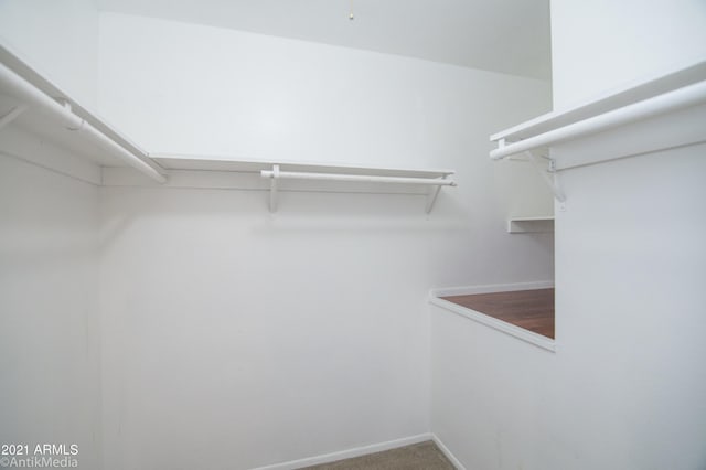 spacious closet featuring carpet floors