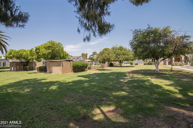 view of yard
