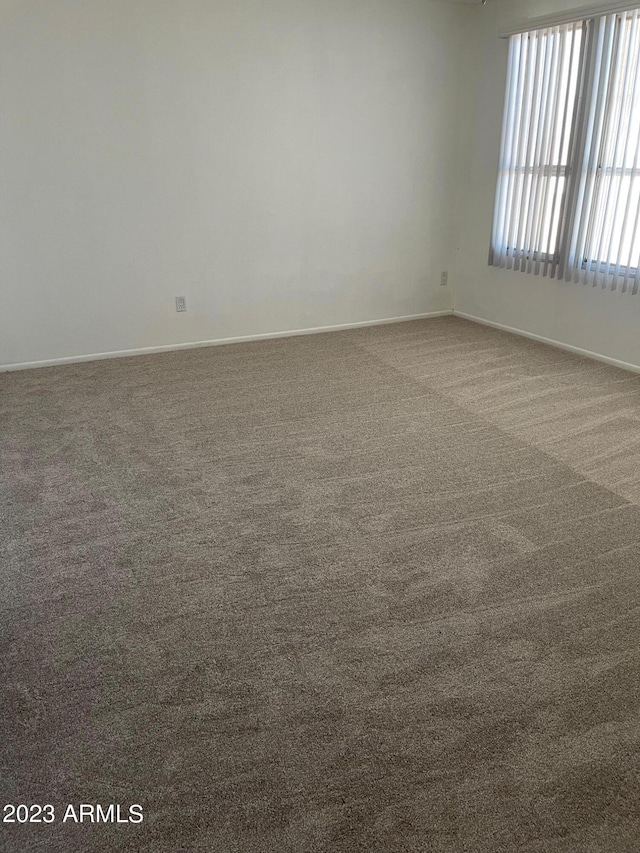 empty room featuring carpet