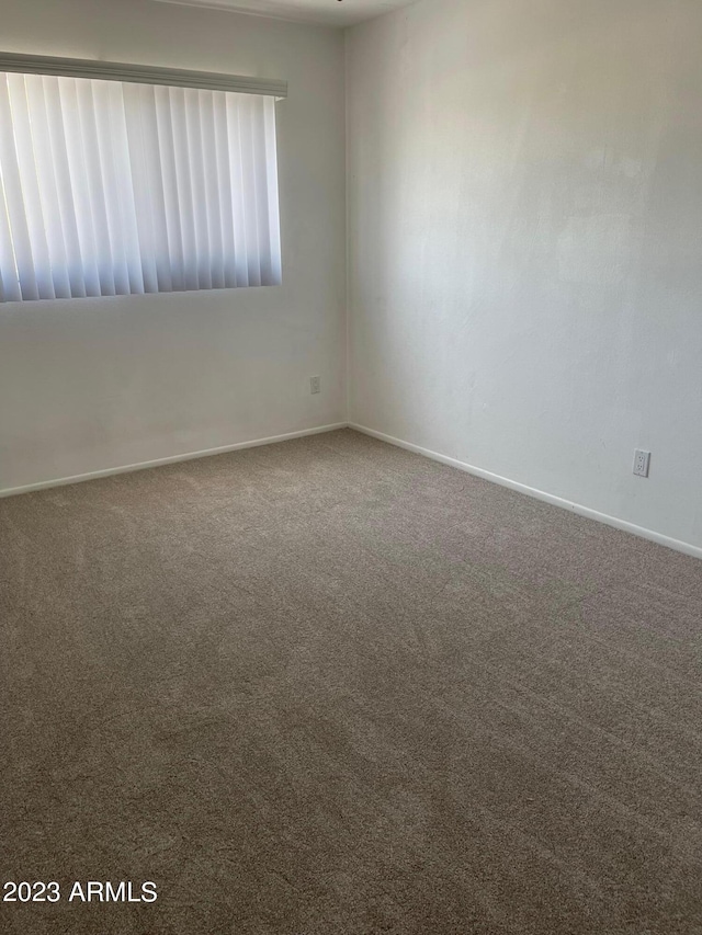 unfurnished room featuring carpet flooring
